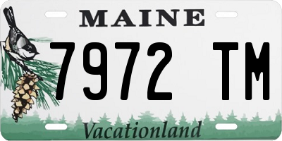 ME license plate 7972TM