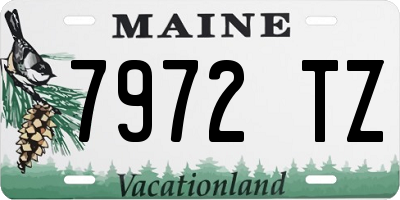 ME license plate 7972TZ