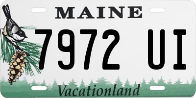 ME license plate 7972UI