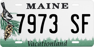 ME license plate 7973SF