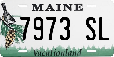 ME license plate 7973SL