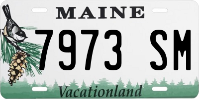 ME license plate 7973SM