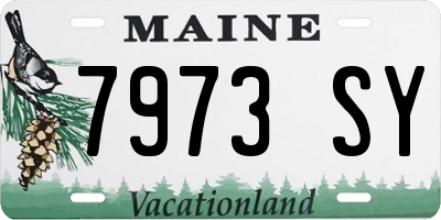 ME license plate 7973SY