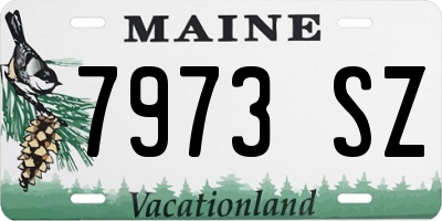 ME license plate 7973SZ