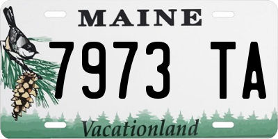 ME license plate 7973TA