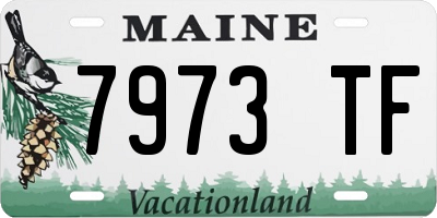 ME license plate 7973TF