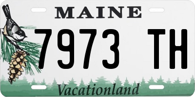 ME license plate 7973TH