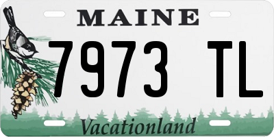 ME license plate 7973TL