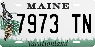 ME license plate 7973TN