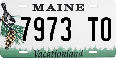 ME license plate 7973TO