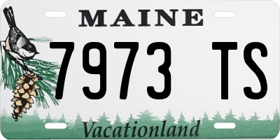 ME license plate 7973TS