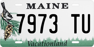 ME license plate 7973TU