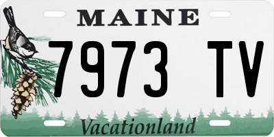 ME license plate 7973TV