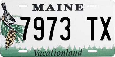 ME license plate 7973TX