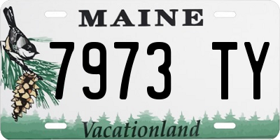 ME license plate 7973TY