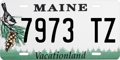 ME license plate 7973TZ