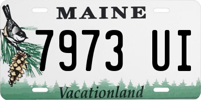 ME license plate 7973UI