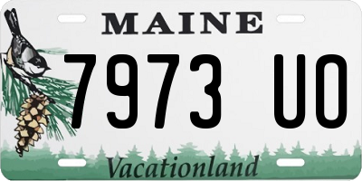 ME license plate 7973UO