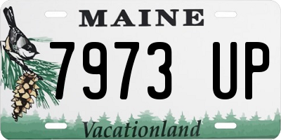 ME license plate 7973UP