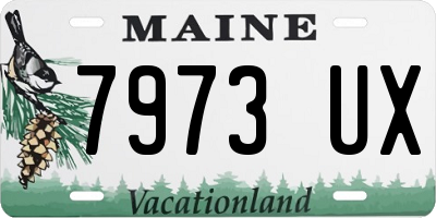 ME license plate 7973UX