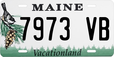 ME license plate 7973VB
