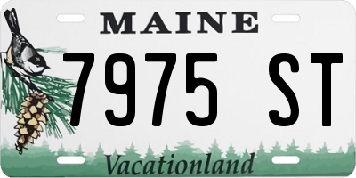 ME license plate 7975ST