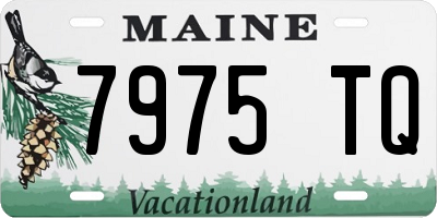 ME license plate 7975TQ