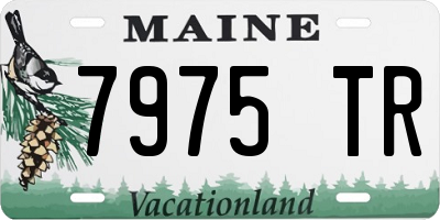 ME license plate 7975TR
