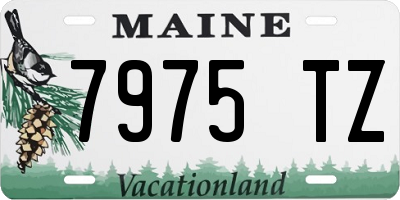 ME license plate 7975TZ