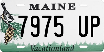 ME license plate 7975UP