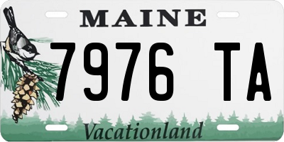 ME license plate 7976TA
