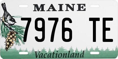 ME license plate 7976TE