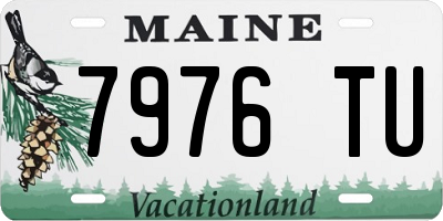 ME license plate 7976TU