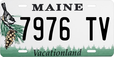 ME license plate 7976TV