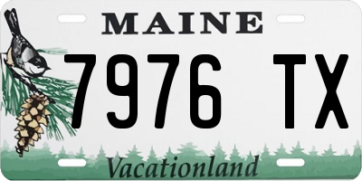 ME license plate 7976TX