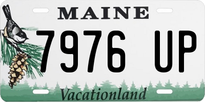 ME license plate 7976UP