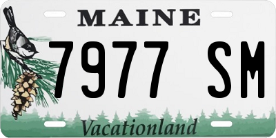 ME license plate 7977SM