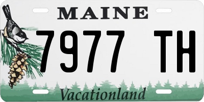 ME license plate 7977TH