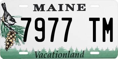 ME license plate 7977TM