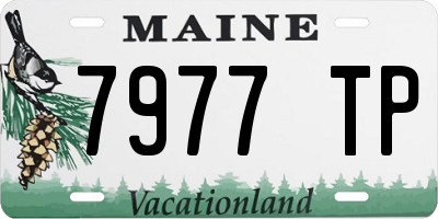 ME license plate 7977TP
