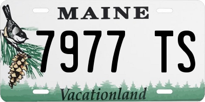 ME license plate 7977TS