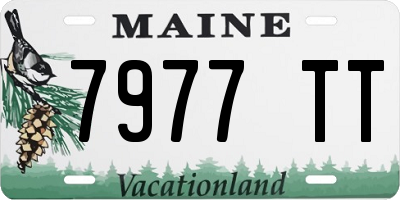 ME license plate 7977TT