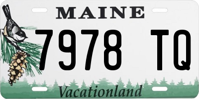 ME license plate 7978TQ