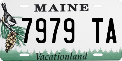 ME license plate 7979TA