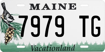 ME license plate 7979TG