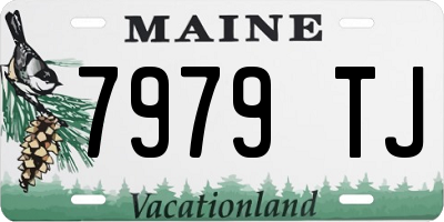 ME license plate 7979TJ