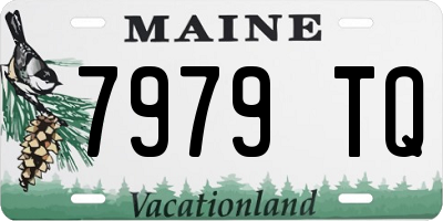 ME license plate 7979TQ