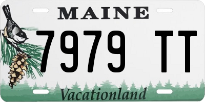 ME license plate 7979TT