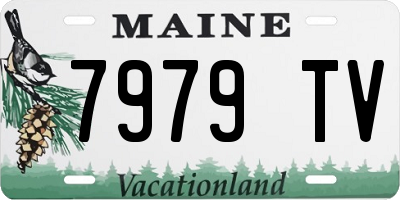 ME license plate 7979TV