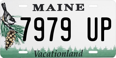 ME license plate 7979UP